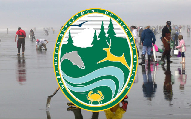 Four day clam dig scheduled to begin March 20