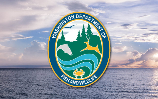 Westport/Ocean Shores recreational salmon season closing Wednesday