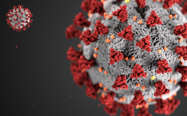 Latest on novel coronavirus from CDC
