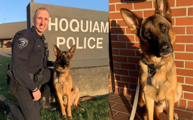 Hoquiam Police Department adds new officer