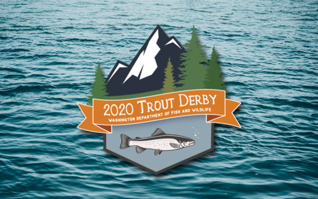 Statewide Trout Derby opens this weekend