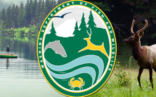 WDFW to conduct drone survey of Chinook River Estuary in Pacific County