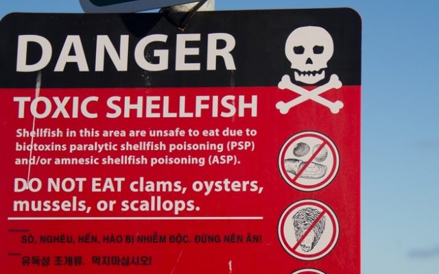 Paralytic shellfish poison closure issued within Grays Harbor