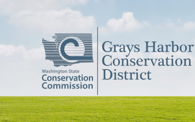 Position open on GH Conservation District; applications being accepted