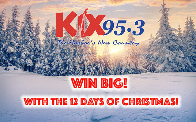 The 12 Days of Christmas Contest!  You could win!